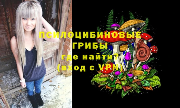 ГАЛЛЮЦИНОГЕННЫЕ ГРИБЫ Бугульма